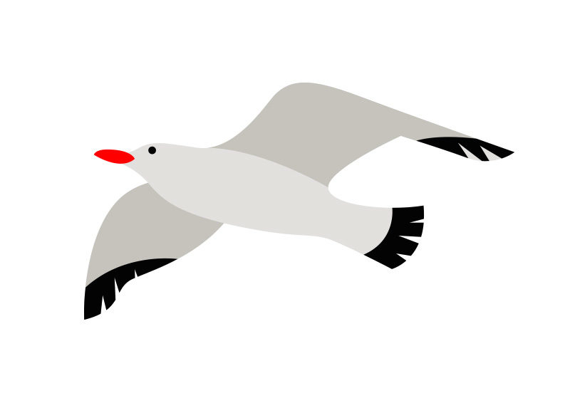 Seagull Vector Illustration 800x566 Seagull Vector Illustration