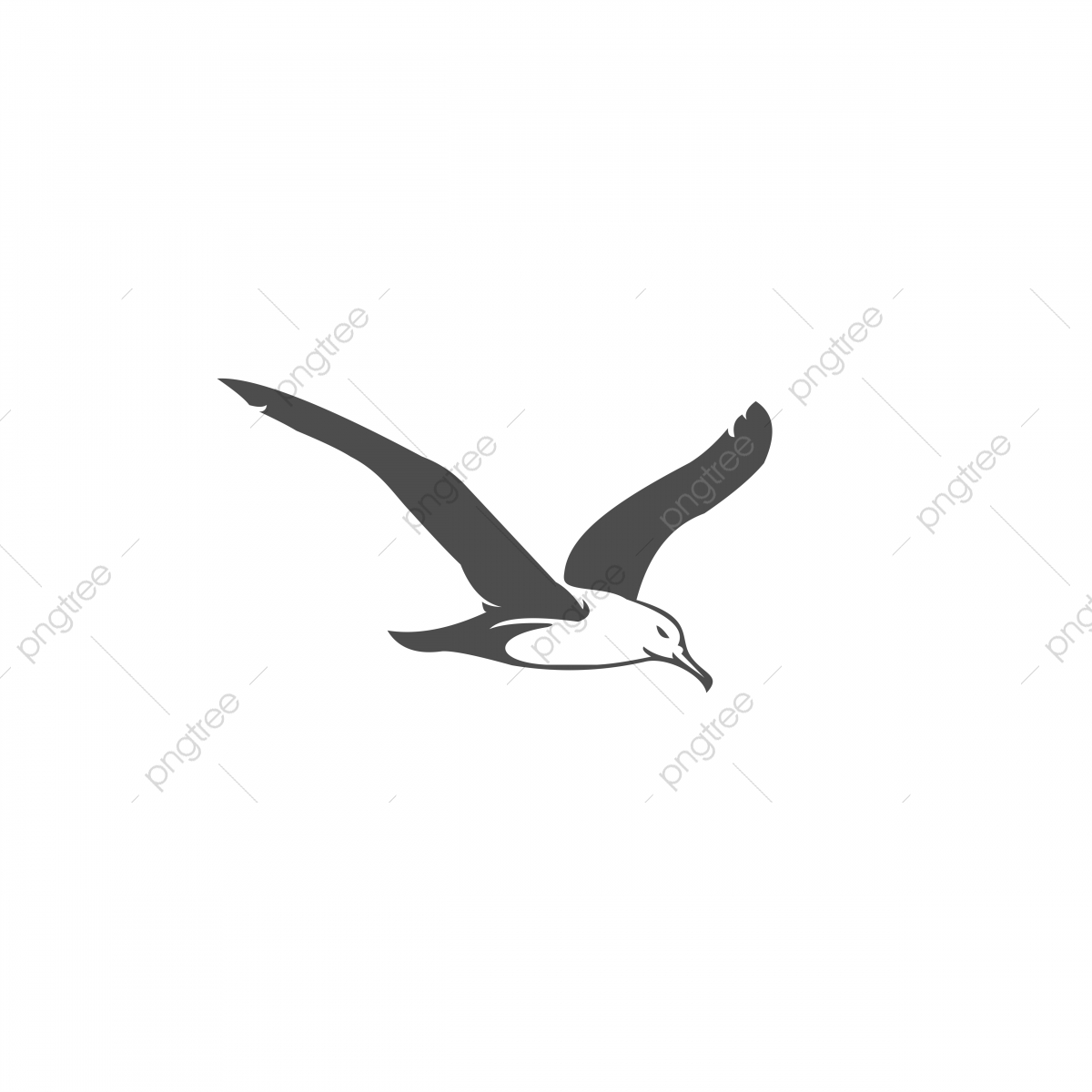 Seagull Vector Illustration For Your Company Or Brand, Above 1200x1200 Seagull Vector Illustration For Your Company Or Brand, Above