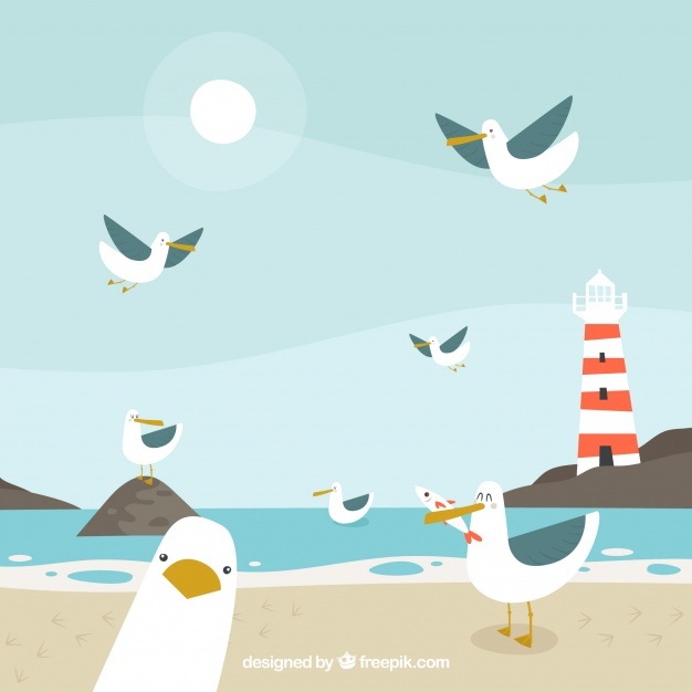 Seagull Vectors, Photos And Free Download 626x626 Seagull Vectors, Photos And Free Download