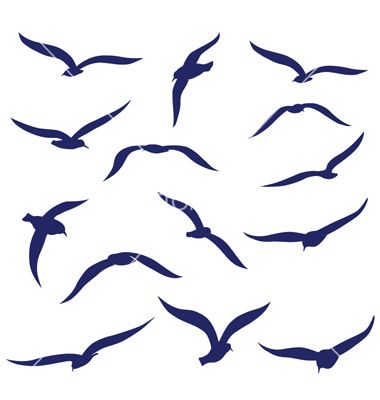 Seagull Silhouettes Vector 380x400 Seagull Silhouettes Vector