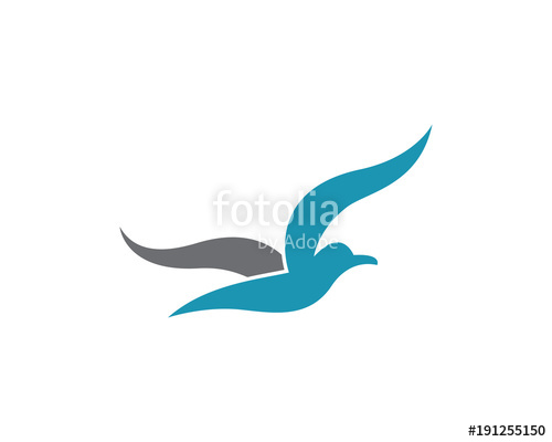 Seagull Vector Icon Stock Image And Royalty Free Vector 500x400 Seagull Vector Icon Stock Image And Royalty Free Vector