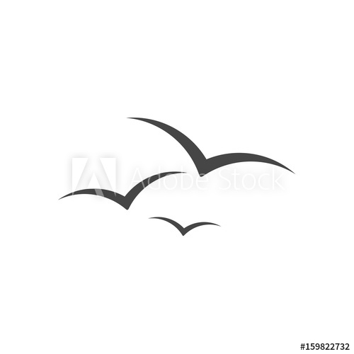 Seagull Vector Illustration 500x500 Seagull Vector Illustration