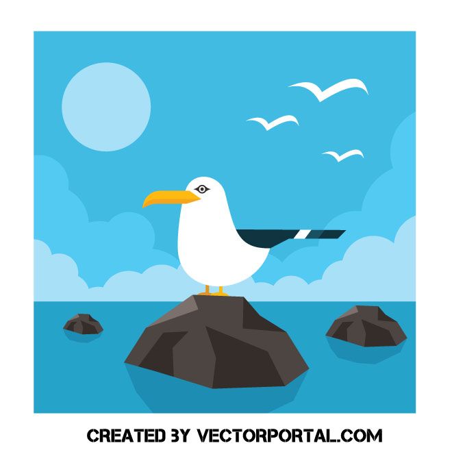 Seagull Vector Image Animal Vectors Free Vector Art, Free 660x660 Seagull Vector Image Animal Vectors Free Vector Art, Free