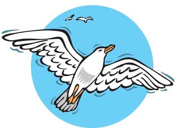 350x253 Free Seagull Vector Files, Vectors Graphics