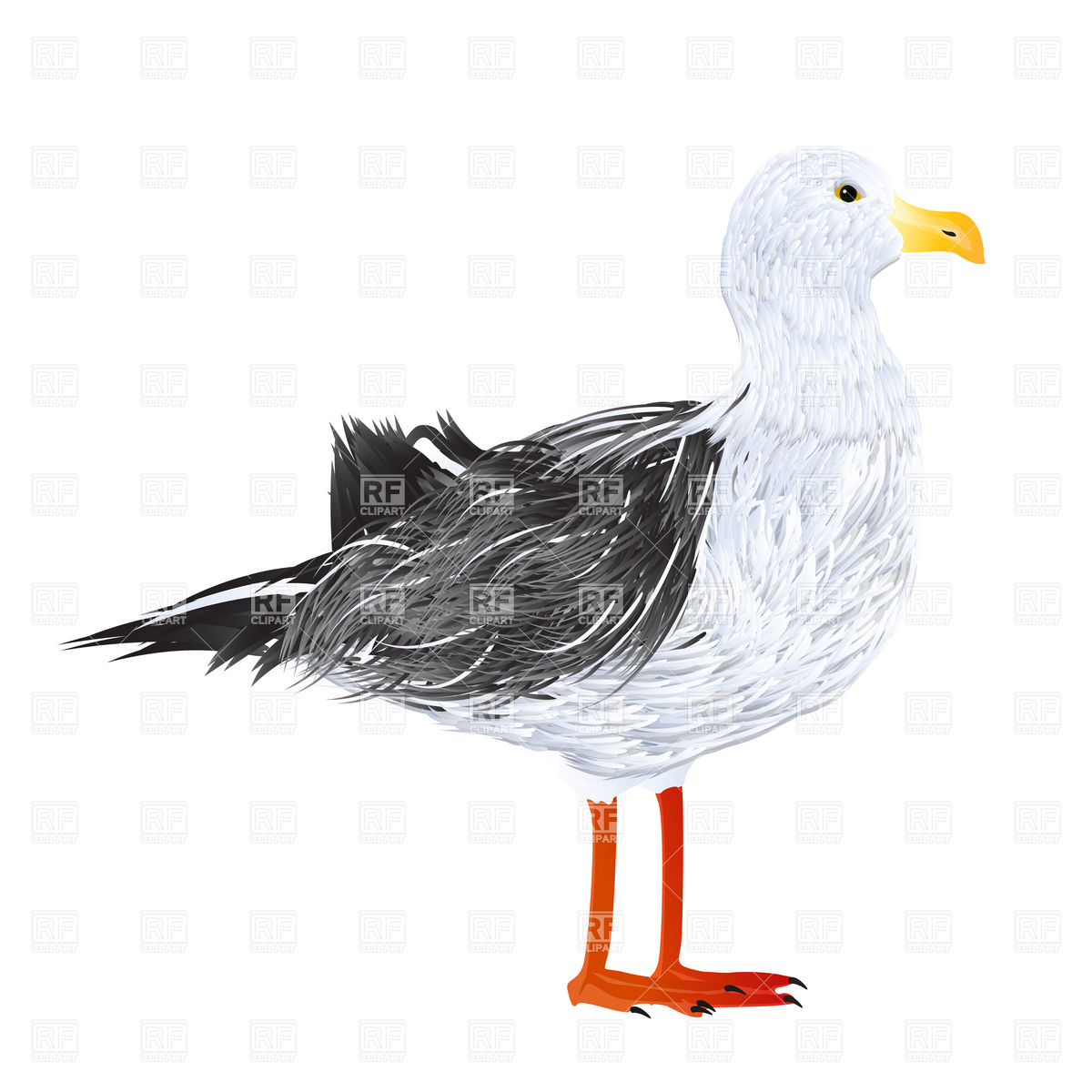 1200x1200 Standing Sea Gull Vector Image Of Plants And Animals Lirch
