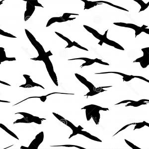 300x300 Stock Illustration Sea Gull Seamless Pattern Seagull Vector Black