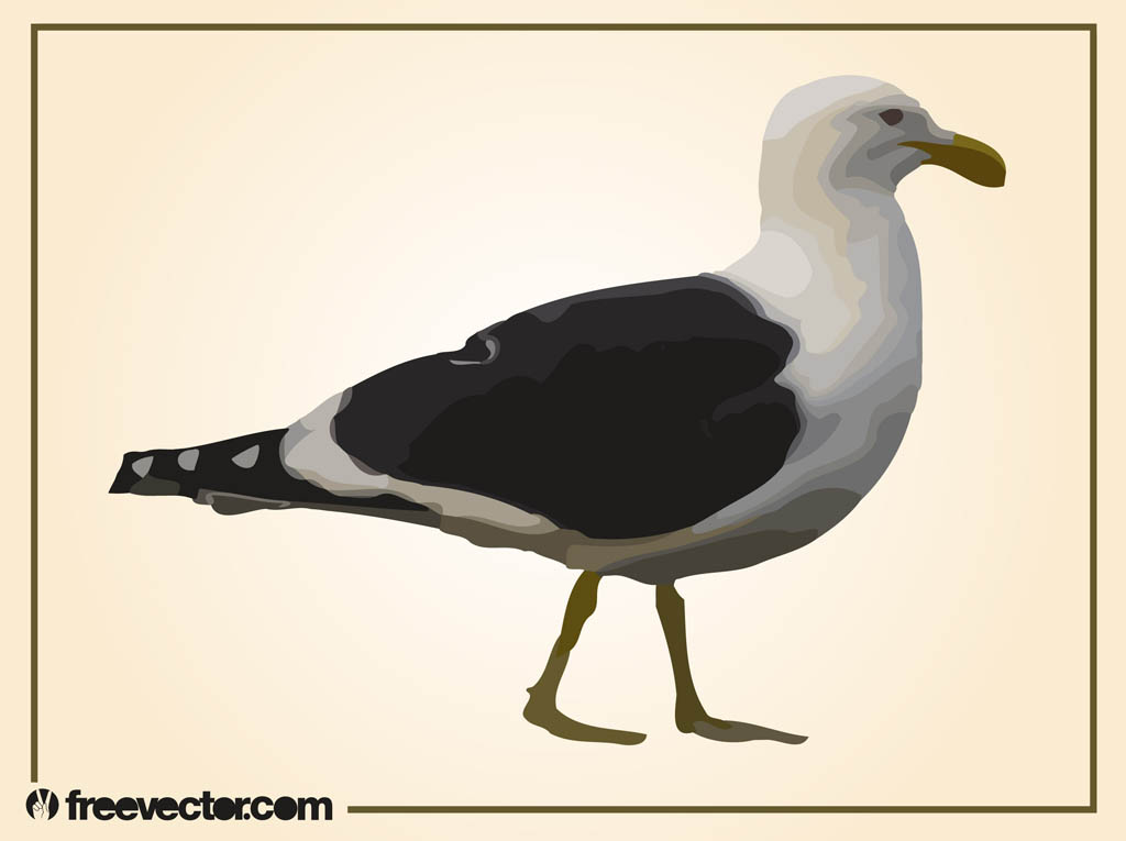 Walking Seagull Vector Art Graphics 1024x765 Walking Seagull Vector Art Graphics