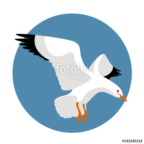 Seagull Vector Illustration Style Flat Stock Image And Royalty 500x500 Seagull Vector Illustration Style Flat Stock Image And Royalty