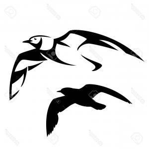 300x300 Photostock Vector Flying Seagull Vector Design Black And White