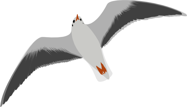 600x345 Sea Gull Seagull Clip Art