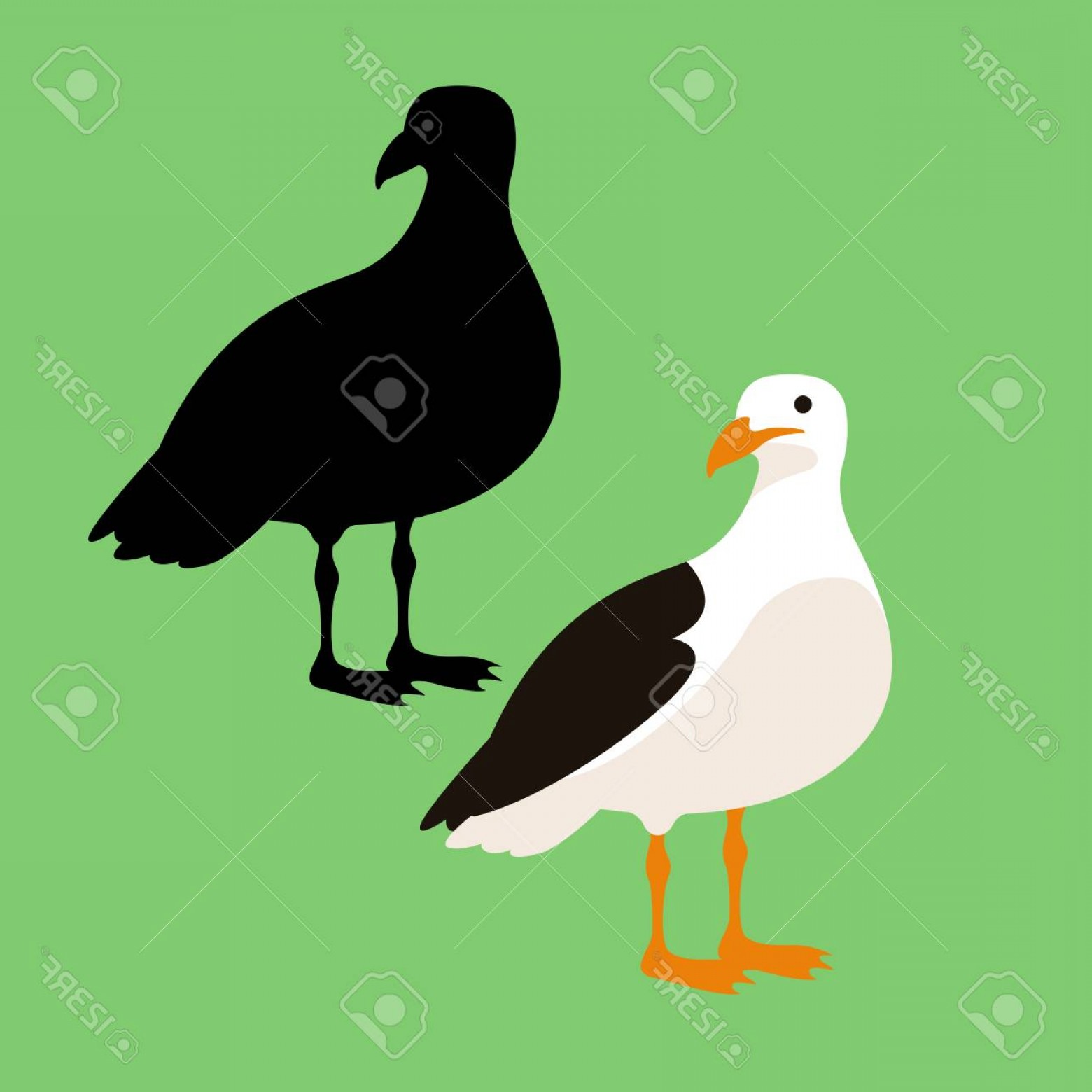 1560x1560 Seagull Frvector Catchsplace