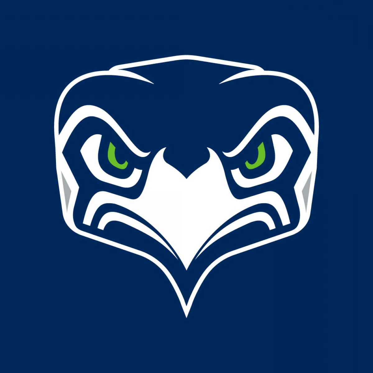 Seahawks Feather Pattern Vector at Collection of