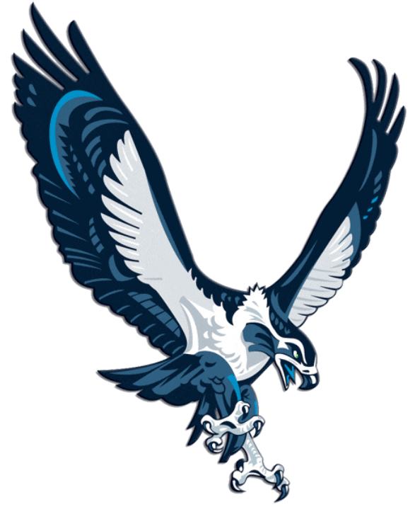 587x716 Seattle Seahawks Logo Free Image
