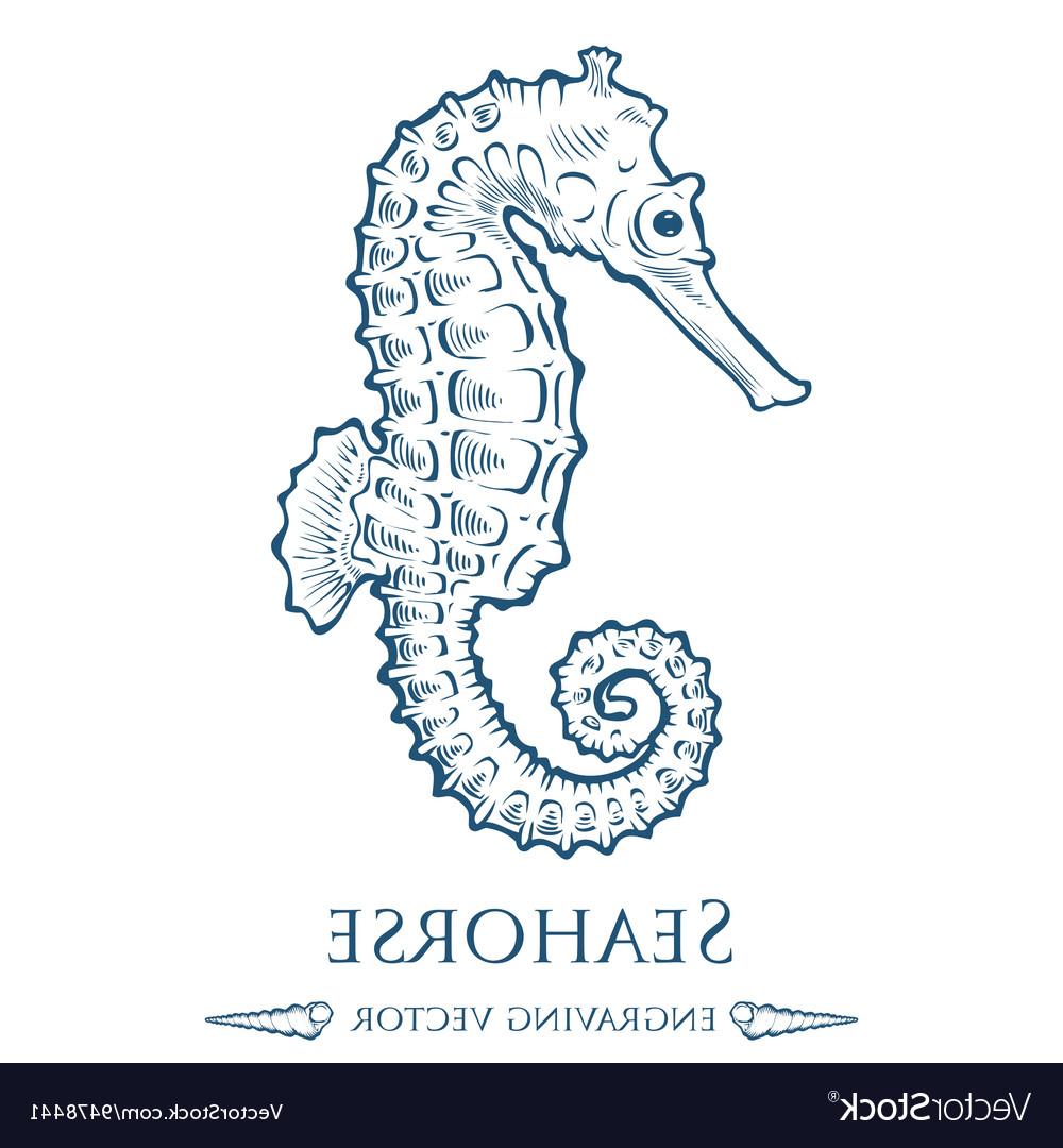 Seahorse Outline Images