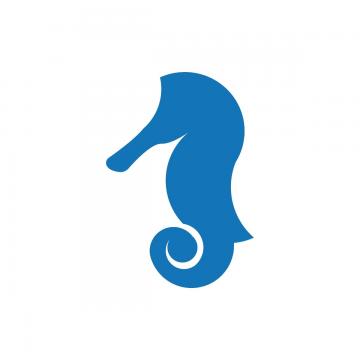 360x360 Seahorse Png, Vector, And Clipart With Transparent Background