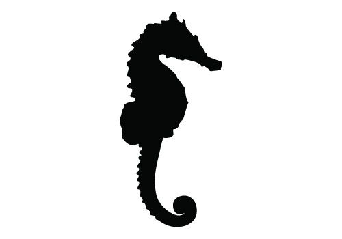 500x350 Seahorse Silhouette Vector Available Here For Free Download, This