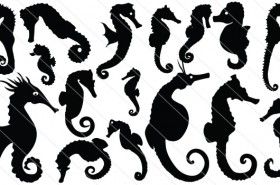 280x185 Seahorse Vector Graphics