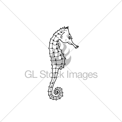 500x500 Vector Illustration Of Seahorse Silhouette Hand Drawn Se Gl