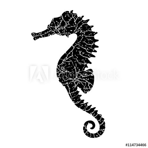 500x500 Grunge Seahorse Silhouette