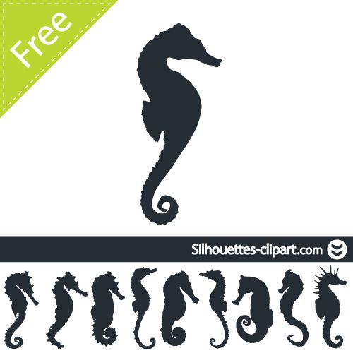 500x500 Pictures Of Seahorse Silhouette Vector