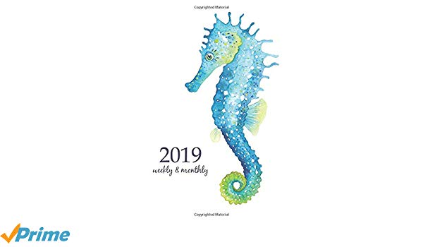 Seahorse Vector
