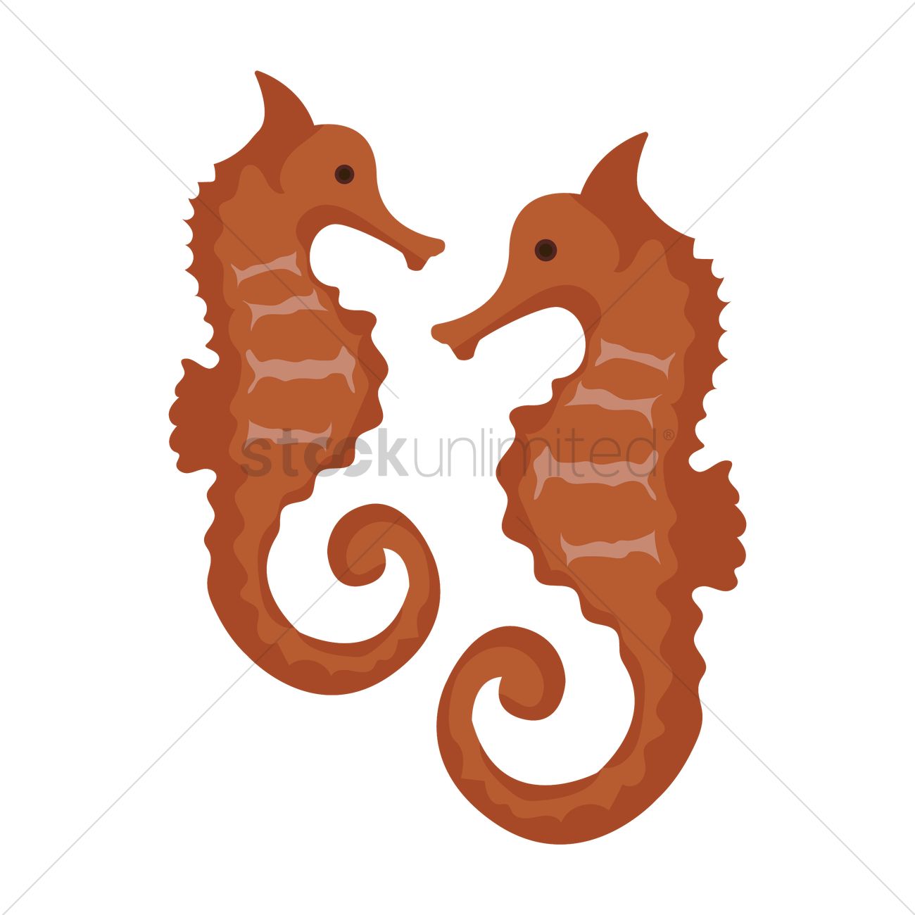 1300x1300 Seahorse Vector Image