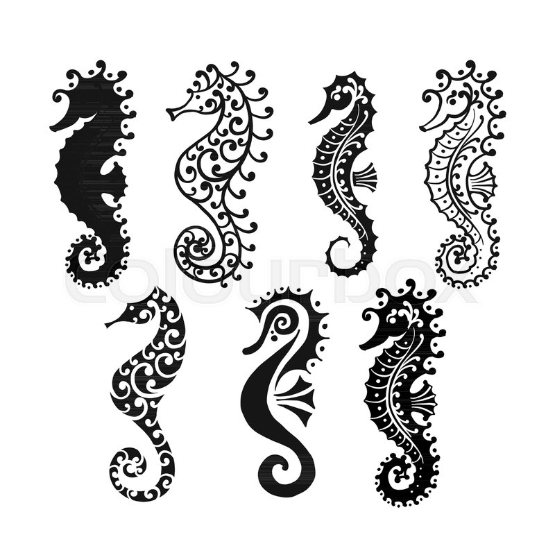 800x800 Seahorse Collection, Sketch For Your Stock Vector Colourbox