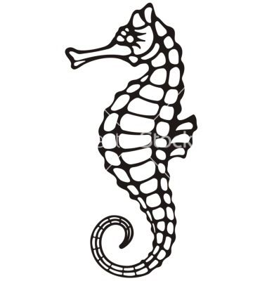 380x400 Seahorse Vector