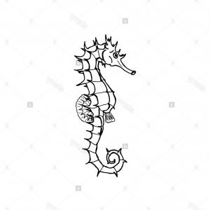 300x300 Vector Illustration Of Seahorse Silhouette Hand Drawing Seahorse