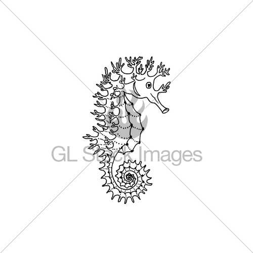 500x500 Vector Illustration Of Seahorse Silhouette Hand Drawing Gl