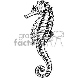 300x300 Old Vintage Distressed Seahorse Retro Vector Design Vintage