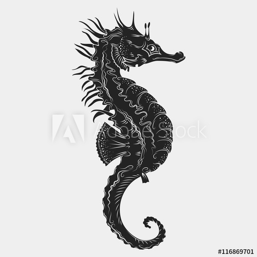 500x500 Hand Drawn Graphic Seahorse Vector Illustration Tattoo Sketch