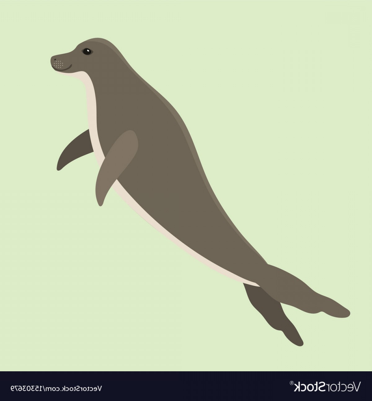 1200x1296 Hawaiian Monk Seal Swimming Animal Hawaii Mammal Vector Soidergi