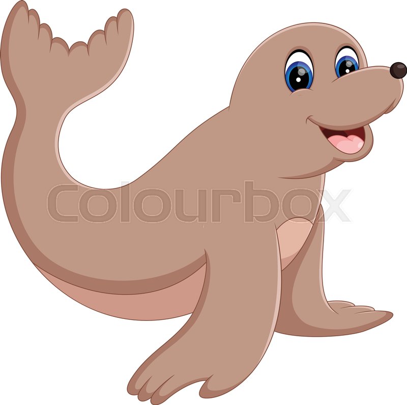 800x795 Illustration Of Baby Monk Seal Animal Stock Vector Colourbox