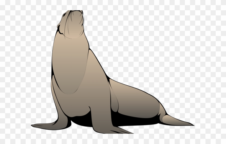 880x560 Seal Clipart Realistic
