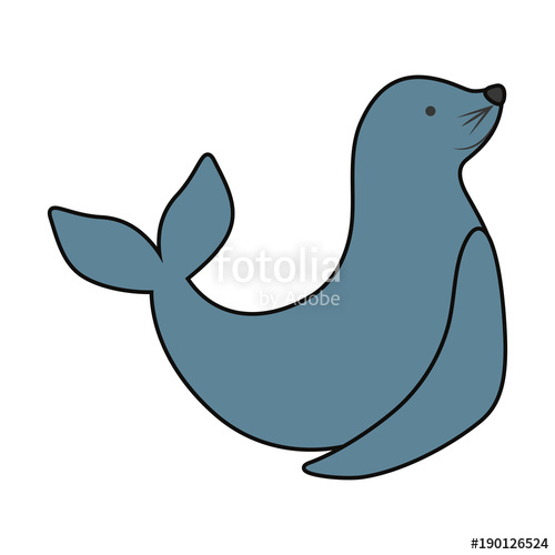 500x500 Seal Animal Design Stock Image And Royalty Free Vector