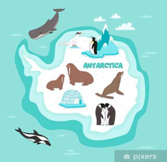 700x677 Antarctic Continent Map With Wildlife Animals Vector Illustration