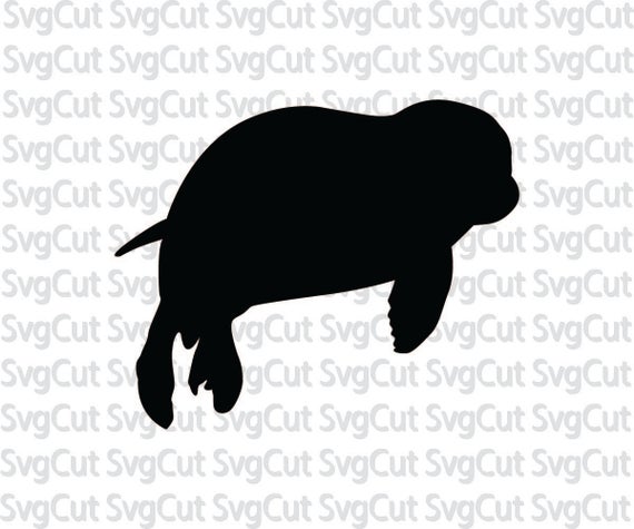 570x475 Baby Seal Sea Animal Seal Cutting Template Vector Etsy