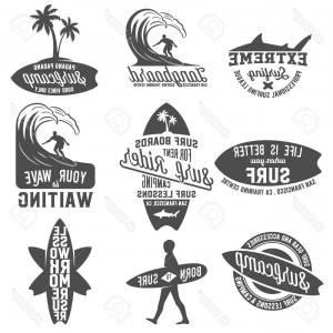 300x300 Photostock Vector True Seal Or Earless Spotted Seal Vector Hand