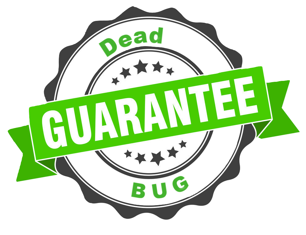 994x764 Guarantee Stamp Sign Seal Vector Burned