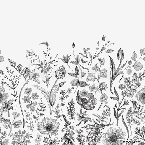 500x500 Spring Magic Seamless Border Vector Vintage Illustration Black