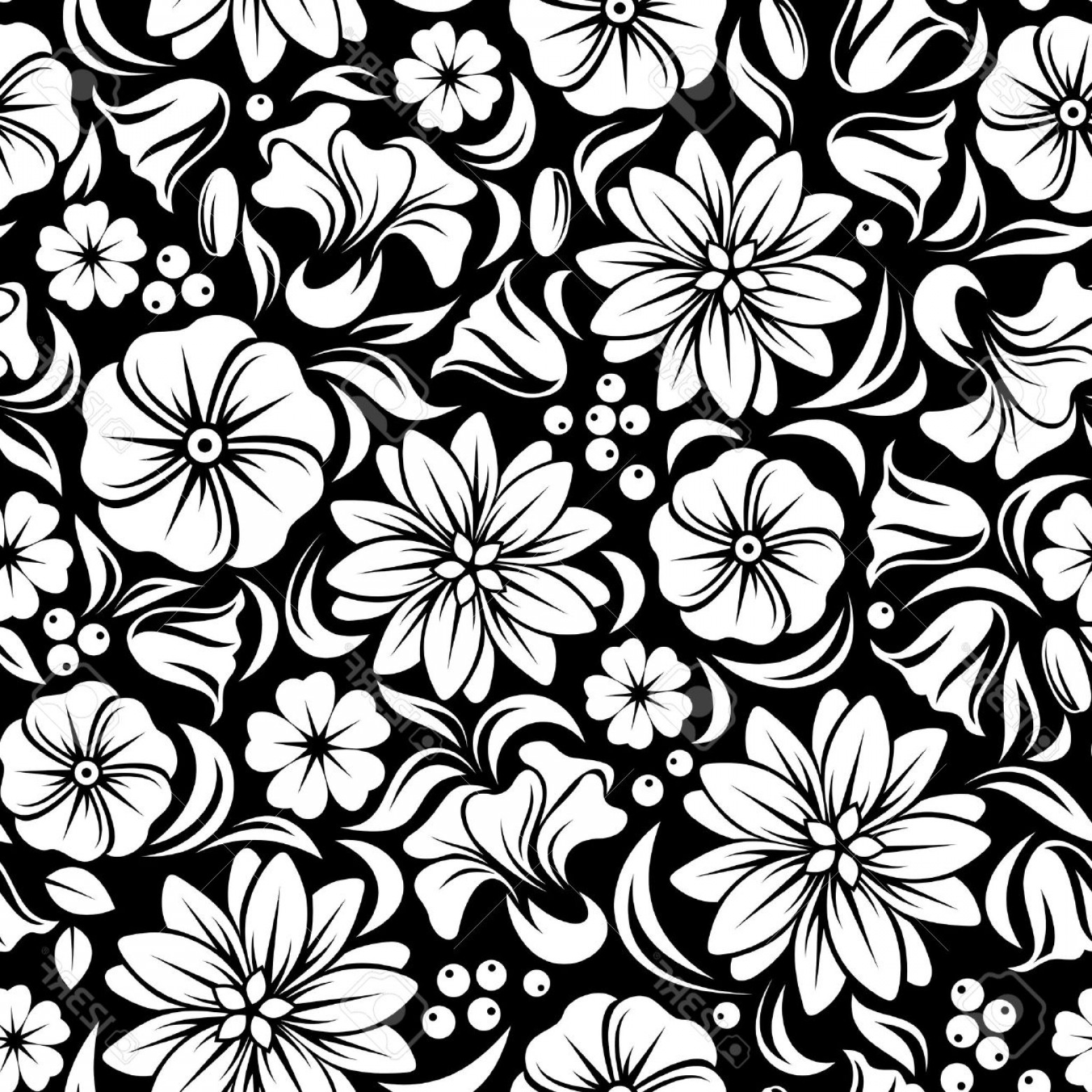 1560x1560 Photowhite Seamless Floral Pattern On Black Vector Illustration
