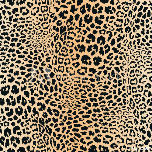 500x500 Leopard Skin Pattern Vector Seamless Texture Animal Print