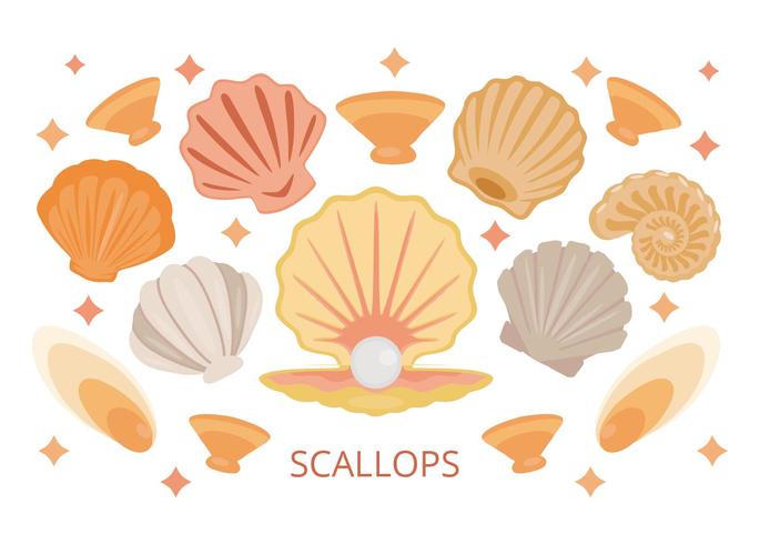685x490 Sea Shell Free Vector Art