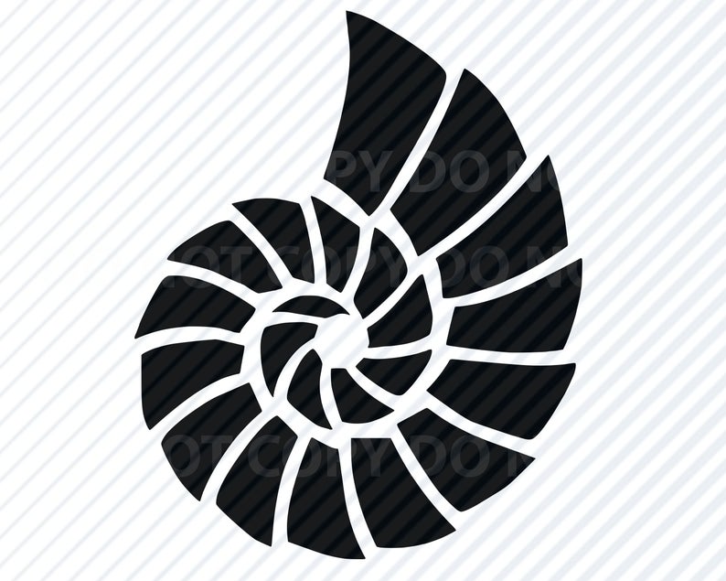 794x635 Seashell Clipart Clip Art Silhouette Vector Etsy