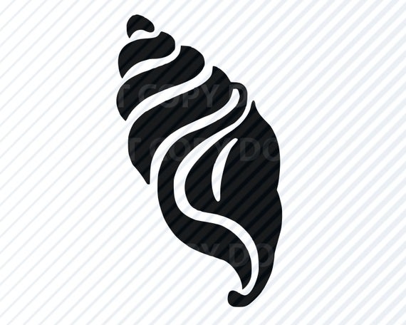 570x456 Seashell Clipart Clip Art Silhouette Vector Images Etsy