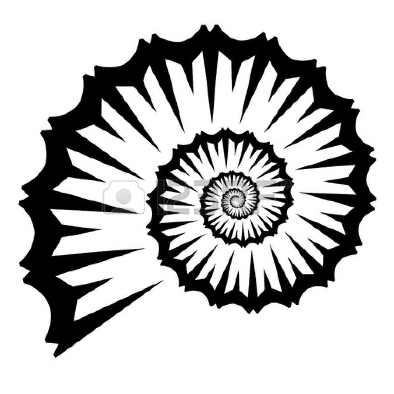 1350x1350 Seashell Silhouette Vector