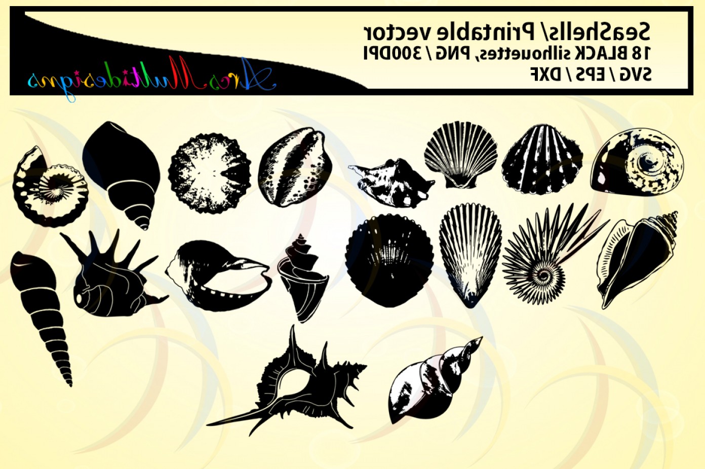 1392x926 Seashells Silhouette Sea Shell Dxf Vector Sea Shell Png