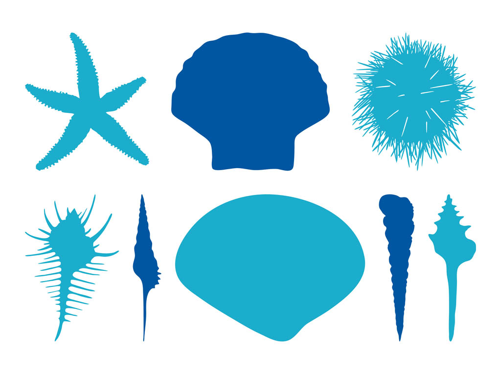 1024x765 Seashells Silhouettes Vector Art Graphics