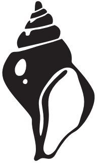 196x320 Collection Of 'sea Shell Silhouette' Download More Than Images